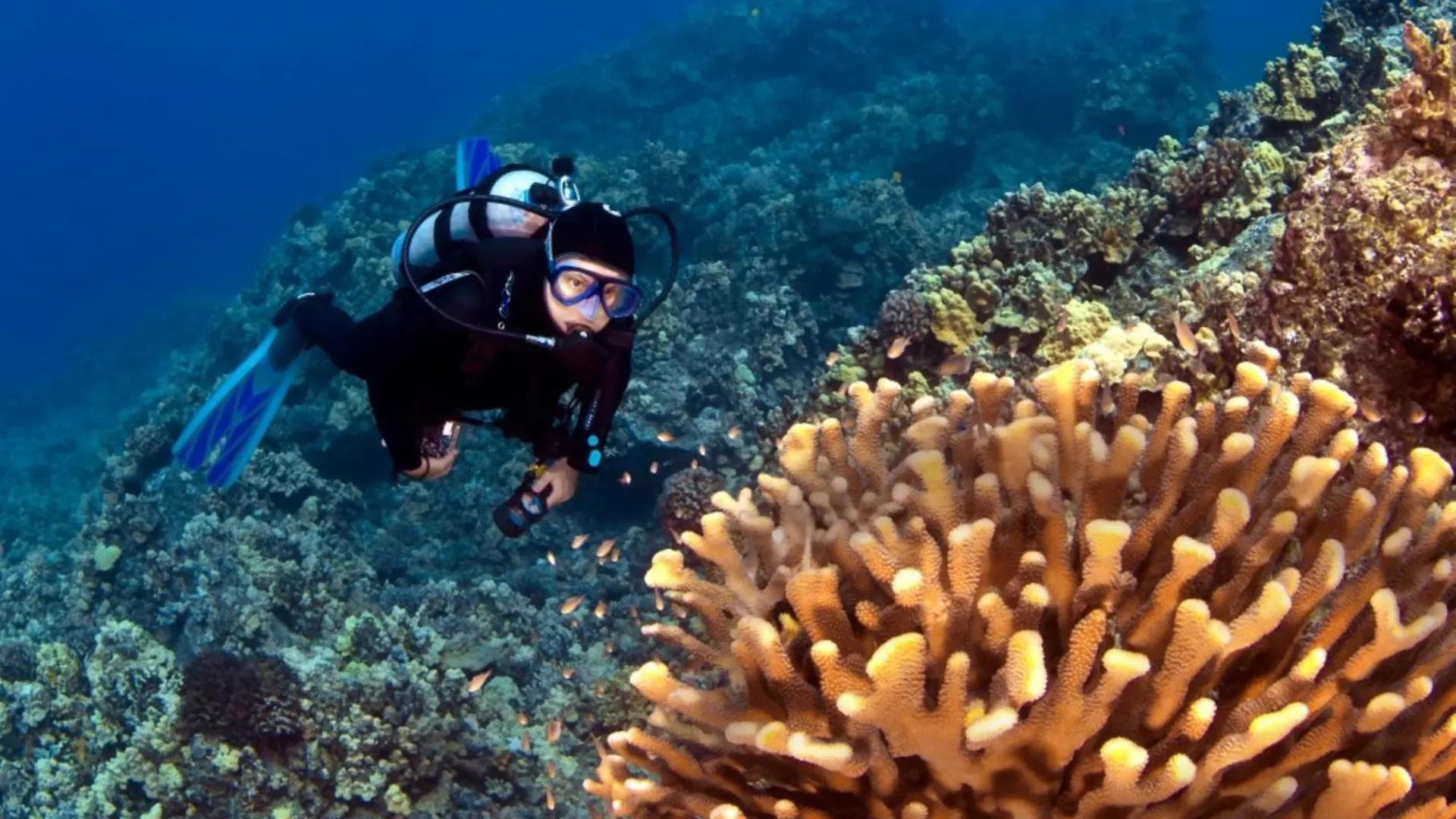 Kahana Reef 117 Σπίτι διακοπών